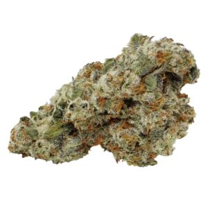 CBD Flower – Mango Kush for sale in Brussels